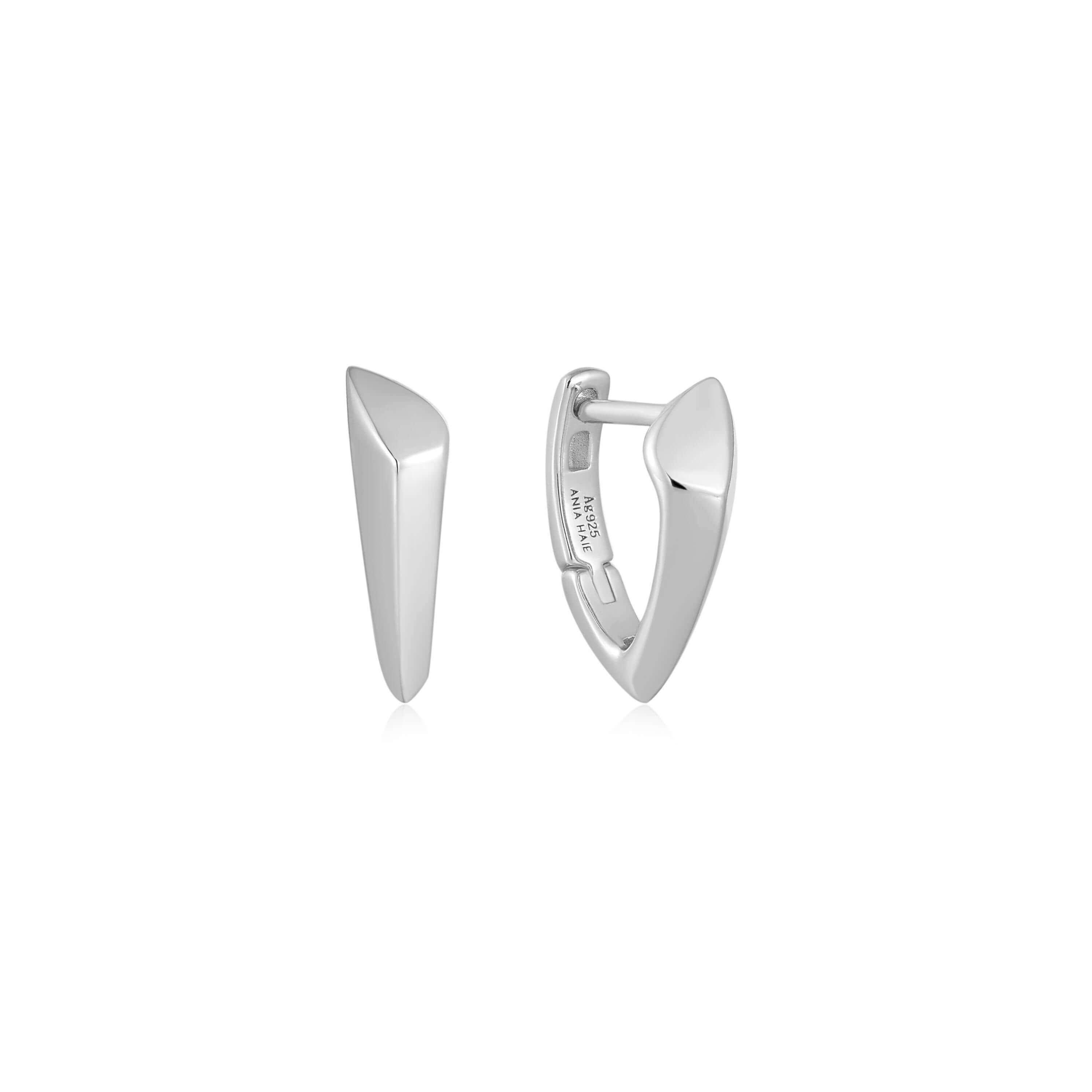 boucle d'oreille ania haie anneau argent